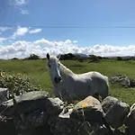 Kilronan *