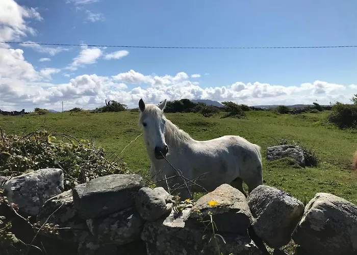 Kilronan *